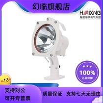 Haixing Maritime TG8 marine aluminum life-saving exploration halogen tungsten lamp floodlight 24V200W searchlight CCS