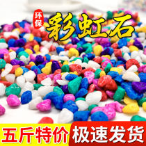 Colorful stone succulent paving stone gardening stone colored stone flower pot decoration small stone fish tank bottom sand multicolored stone