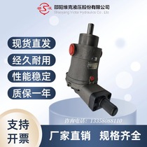 Shaoyang Vick Hydraulic SY-10 25 32 40 63 80 100 125YCY14-1E B axial piston pump