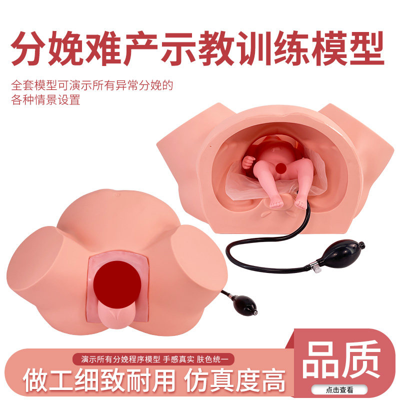 分娩示教模型 高级助产示教训练模型 妇产科难产助产分娩教学模型
