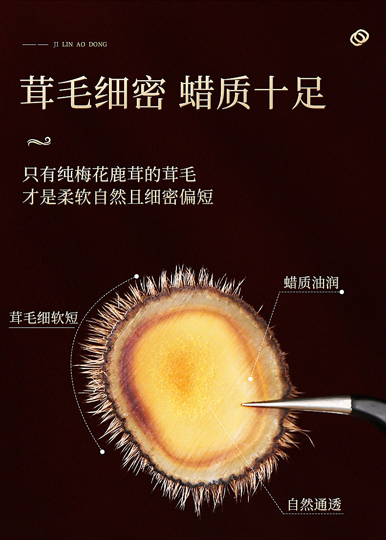 15-697810f55466e.jpg 