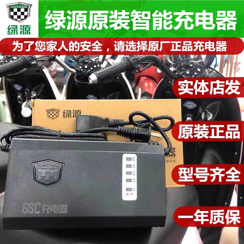 Original Charger Original Electric Vehicle Charger 48V60V72V20E30E-2T4T Electric Vehicle Accessories