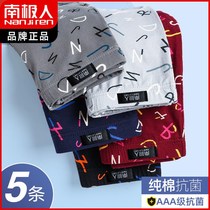 South Pole Guys Pine Angle Briefs Pure Cotton Antibacterial Mens Four Corners Short Pants Underpants Cute Cartoon Print Trend Personality