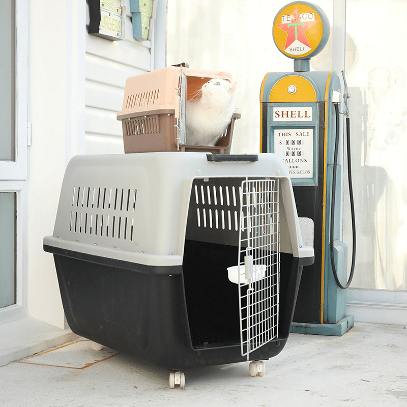 Pet Box Cat Cage Dog Cage Son Out Pitchy Cat Box Kitty Suitcase Dogs Air Transport Delivery Box