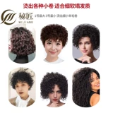 Bargainstore Permpronage Toothsick Barbaria, Холодные горячие бары галерея парикмахерская, маленькая шерсть вьющиеся волосы, супер мелкие батончики Perm