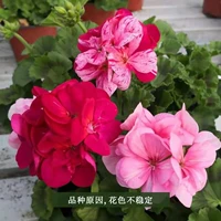 18. Multi -Color Models