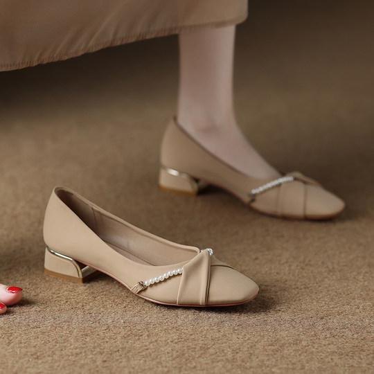 Versatile Low-Heeled Shoes with Stunning Elegance for Women, Suitable for Autumn 2025 and Summer, to Pair with Skirts, French Evening Style, Small Heels