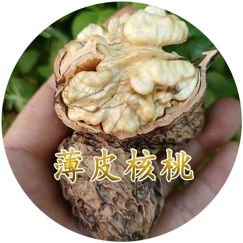 云南农特产品经营部的LOGO