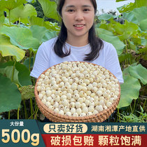 (Le nouveau stock de cette année) Xiangtan en cuir moulin à base de graines de lotus matières sèches 500g terproduire grade comestible Lotus comestible Peur dargent