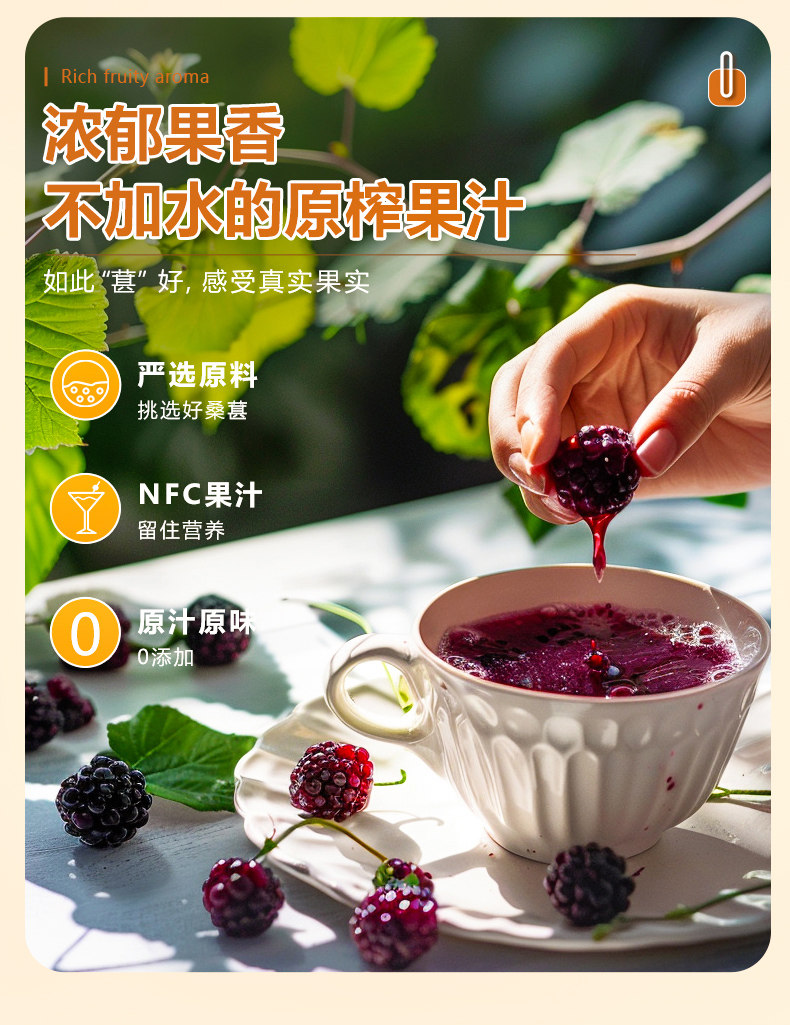 安享好物 安享A级果汁-宝桑园100% NFC桑果汁 国标 