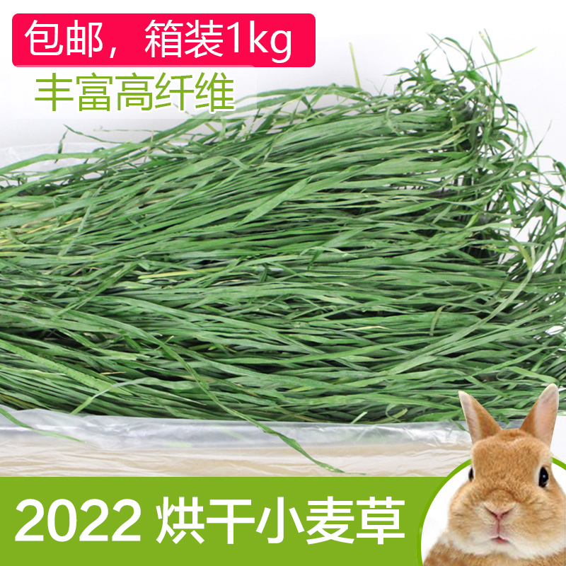 Drying Wheat Grass Hay Hay Rabbit Dutch Pig Guinea Pig Gentian Cat Grass Fur Heavy 1000g New Grass Wheat Fry Rabbit Grass