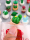 Simulated green plant cactus blind bag succulent potted tabletop miniature ornaments children's play house toys