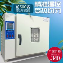 Electric constant temperature industrial oven vacuum drying oven drying oven blast oven laboratory electric heating commercial dryer