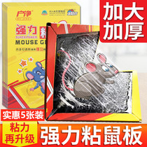 Mouse stickler with powerful sticky rat board Rat Magic Carpet Grip Rat Trap Mousetrap Household Stained with Sticky Rats end glues