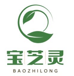 宝芝灵医馆