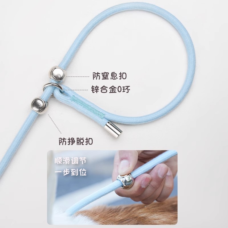 解密遛宠神器：中大型犬专用比赛级P绳