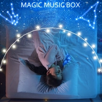 Bright Starry Sky Projector Пульт дистанционного управления вращающимся звездным лиг