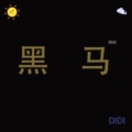 黑马DIDI