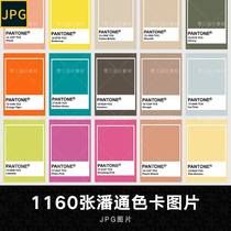 Pantone popular color card color matching visual communication color table color reference electronic picture material JPG