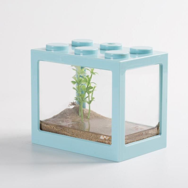 Pet Crab Vat Mini Bean crab Desktop Cute Ensemble Small Pets Not Feeding Eco System Vat for View Children