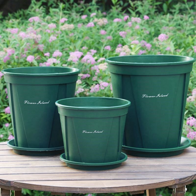 Qingshan Gugan Basin Dongshan Root Root Flower Basin Root Line Line thickened Gallon Basin Creative