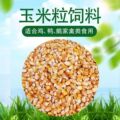 王艺轩的小店的LOGO