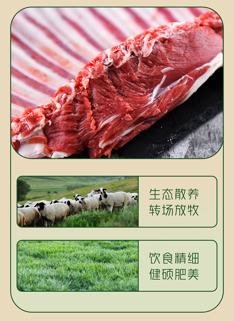 有点牛 羊肉肋排2.7斤 内蒙6月龄羔羊 图4