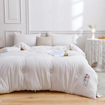 Class A quilt Winter quilted by soybean fiber by single all-cotton quilt core winter thickened double spring and autumn is universally used by Four Seasons