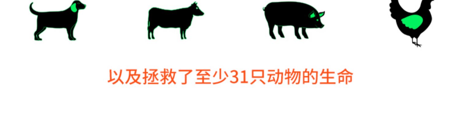 除了肉植物肉不发胖解饿零食辣条2袋装