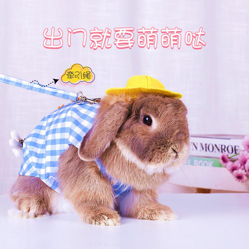 Rabbit clothes Rabbit Rabbit Warm Vest Clothing Pitul Cat Cat Rabbit to Rabbit Rabbit Over Winter Supplies 