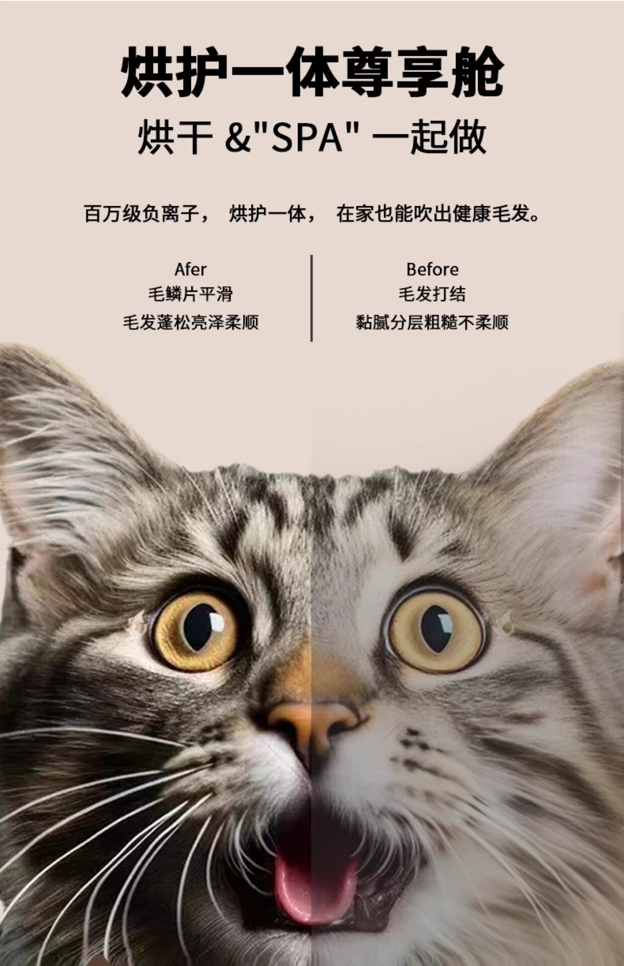ПЭТ сушильный элемент 贝艾贝宠物烘干箱猫咪自动吹干机家用狗狗洗澡吹毛吹风吹水神器