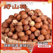 @Xinjiang Tibet () Tieling wild hazelnuts Northeast thin-skinned fried new arrivals nut snacks for pregnant women specialties