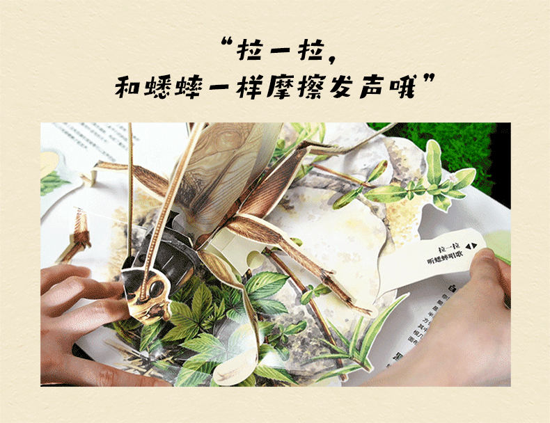 商品详情图