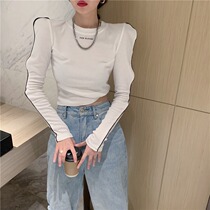 Small foreign air autumn and winter sensation little crowdsourced pure desire for female short hitch undershirt blouse blouse long sleeve white design