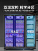 Ice-Cast Vertical Commercial Dual-Temperature Freezer for Frozen Products, Beef, Ice Cream, Durian, Low-Temperature Freezer