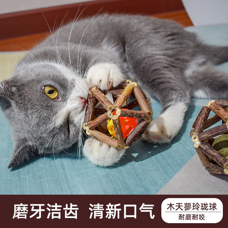 Cat Mint Linglong Golden Tiano Testing Cat Kitty Bite Cutting Toys Has Drawing Cat Supplies