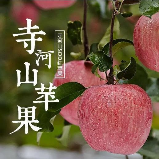 灵宝SOD红富士苹果总店