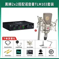 Black Lion 2 × 2+Noyn TLM103 Set