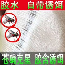 Fly Sticker Powerful Mucus Fly Paper Sticky Fly Plate Stained fly Drosophila Fly Killer farm flies drug fly Cars