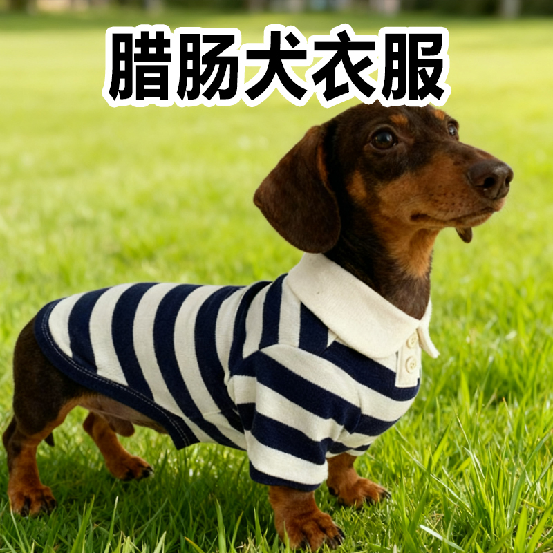 Dachshund Clothes for All Seasons, Autumn and Winter Anti-Shedding Warm Shirt, Special Belly Protection for Small Dogs and Puppies