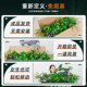 Artificial Flower Arrangements, Plant Partitions, Green Plant Decorations, Artificial Flower Pots, Flower Boxes, Artificial Flowers, Artificial Green Plants for Landscaping Decoration