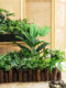 High-End Luxury Artificial Green Plants, Faux Plant Landscaping, Indoor Artificial Greenery, Artificial Flowers, Decorative Arrangements