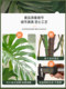 Artificial Monstera Plant Large Potted Indoor Luxury Decoration Faux Flower Plant Floor-Standing Ornament Fake Tree