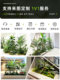 Simulated Green Plant Landscaping Combination for Balcony Decoration, Indoor Artificial Plants for Window Display, and Stair Corner Landscaping Trees