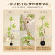 Simulated Green Plants, High-End Light Luxury Indoor Potted Plants, Large-Scale Artificial Plants, Fake Trees, Living Room Decorations, Floor-Standing Ornaments