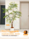 Artificial Green Plant Decoration, Simulated Indoor Potted Plant, Large Floor-Standing Ornament for Living Room, Light Luxury Faux Green Plant, Nandina