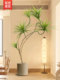 Artificial Green Plant, Millennium Wood, Luxury Floor-Standing Decoration Next to the Tv Cabinet in the Living Room, Large Indoor Artificial Plant, Fake Potted Plant