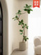 Artificial Green Plant Black King Kong Floor-Standing Potted Plant, Large Indoor Plant Decoration, Living Room Light Luxury Decor, Faux Flower and Tree