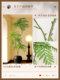 Large-Scale Bionic Green Plant of Jacaranda, High-End Luxury Indoor Living Room Decoration, Artificial Tree, Floor-Standing Ornament Beside the Sofa