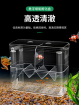 Landscaping guppy isolation box isolator small fish isolation zone small breeding group with cover fish spawning bed